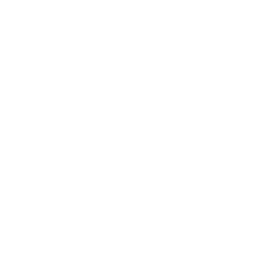 customer service